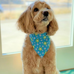 Summer Dog Bandana - Summer Dog Scarf - Over the Collar Dog Bandana - Over the Collar Dog Scarf