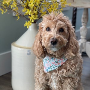 Spring Dog Bandana - Spring Dog Scarf - Over the Collar Dog Bandana - Flowers - Over the Collar Dog Scarf