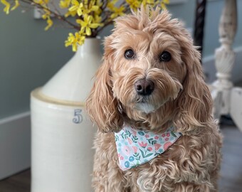 Spring Dog Bandana - Spring Dog Scarf - Over the Collar Dog Bandana - Flowers - Over the Collar Dog Scarf