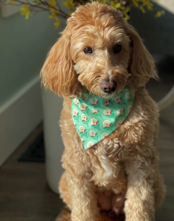Reversible Dog Bandana Easter Over the Collar Dog Bandana