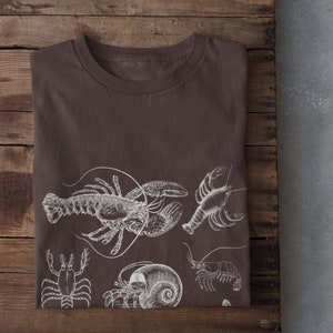 Crustaceancore Shirt,Ocean Lover Gift,Crustaceans Shirt,Crab Shirt,Lobster Shirt,Shrimp Shirt,Crawfish Shirt,Aesthetic Clothes