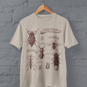 May include: Beige t-shirt with a brown illustration of insects, such as beetles, ants, and a caterpillar. The graphic is arranged in a grid. The shirt hangs on a wooden hanger against a grey brick wall.