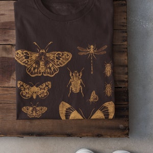 May include: A brown t-shirt with a gold print of various insects, including butterflies, beetles, and dragonflies.