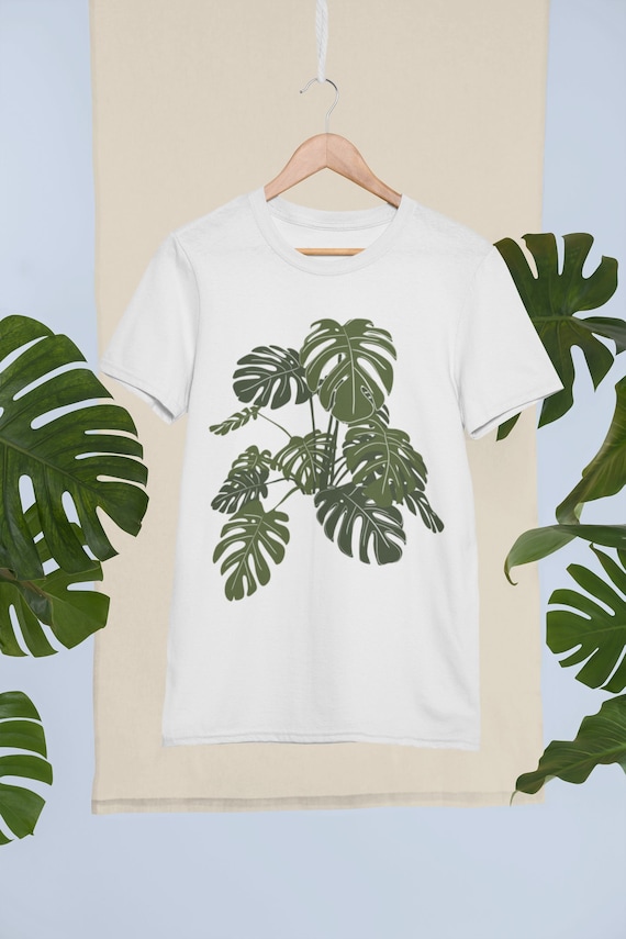 monstera erde substrat Aroid Substrat | Monstera | Philodendron | organisch main image 0