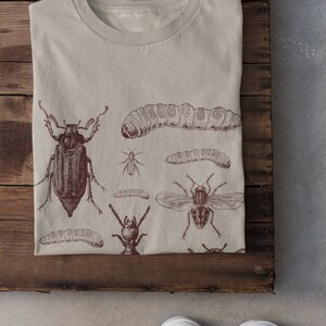 May include: Beige t-shirt with detailed dark brown illustrations of insects, including beetles, caterpillars, and flies. The shirt is folded on a wooden surface. White trainers are visible at the bottom of the image.