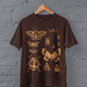 May include: A brown t-shirt with a vintage-style print of various insects and butterflies in gold. The insects include a dragonfly, beetles, and moths.