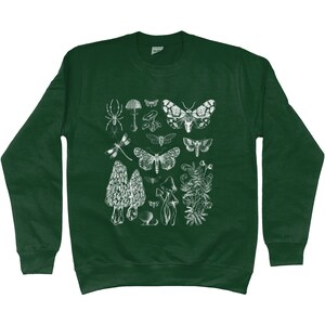 K&ouml;nnte beinhalten: Ein dunkelgr&uuml;ner Pullover mit einem wei&szlig;en Druck verschiedener Insekten, Pilze und Pflanzen. Der Druck enth&auml;lt eine Spinne, eine Libelle, einen Nachtfalter und einen Pilz.