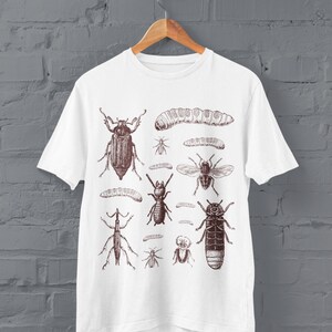 May include: White t-shirt with a sepia-toned illustration of various insects, including beetles, ants, and a caterpillar. The graphic design is printed on a classic crew neck tee, ideal for entomology enthusiasts.