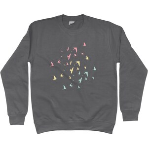 May include: A charcoal grey sweatshirt with a flock of pastel pink, blue and yellow birds printed on the front.