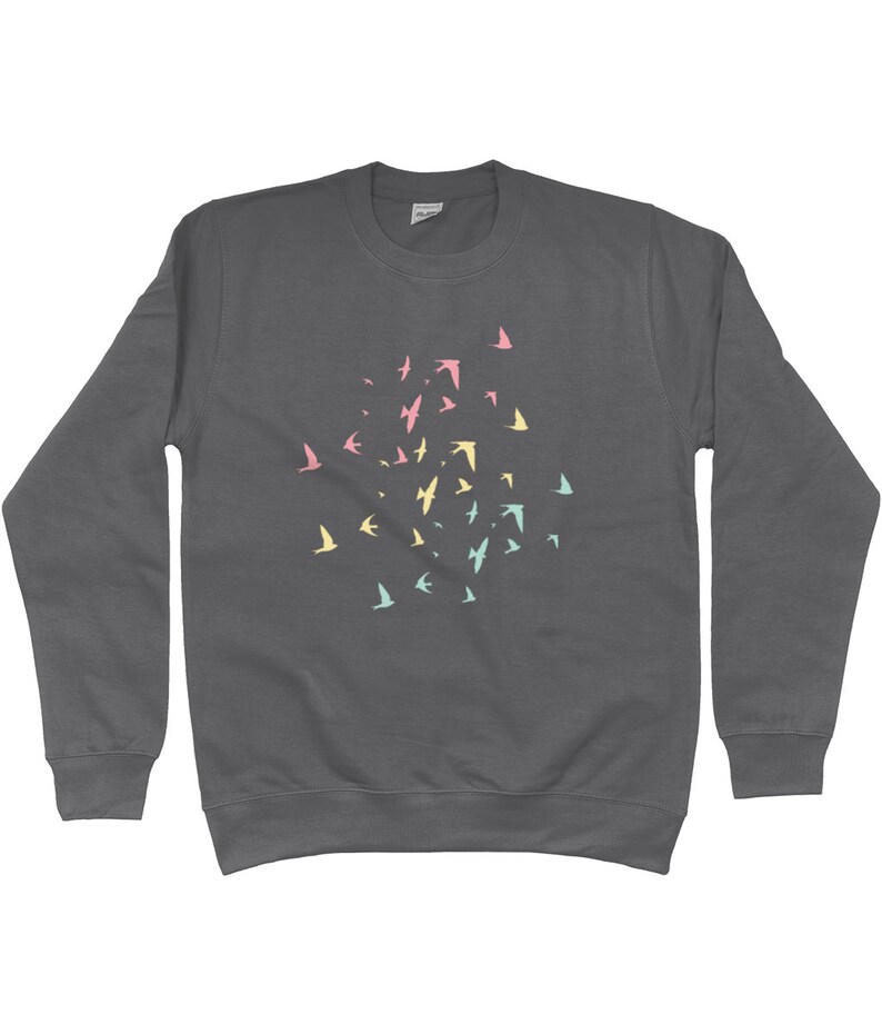 May include: A charcoal grey sweatshirt with a flock of pastel pink, blue and yellow birds printed on the front.