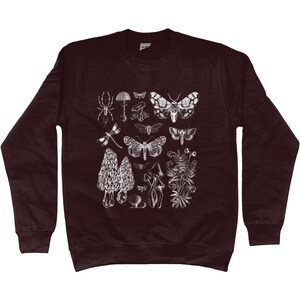 K&ouml;nnte beinhalten: Ein maroonfarbener Pullover mit einem wei&szlig;en Druck verschiedener Insekten, Pilze und Pflanzen. Der Druck enth&auml;lt eine Spinne, eine Libelle, einen Nachtfalter und einen Pilz.