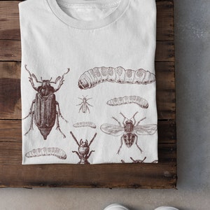 May include: White t-shirt with a brown illustration of insects, including beetles, caterpillars, and a fly. The shirt is folded on a wooden surface, with white trainers visible. The design has a vintage, scientific aesthetic, with the shirt folded.