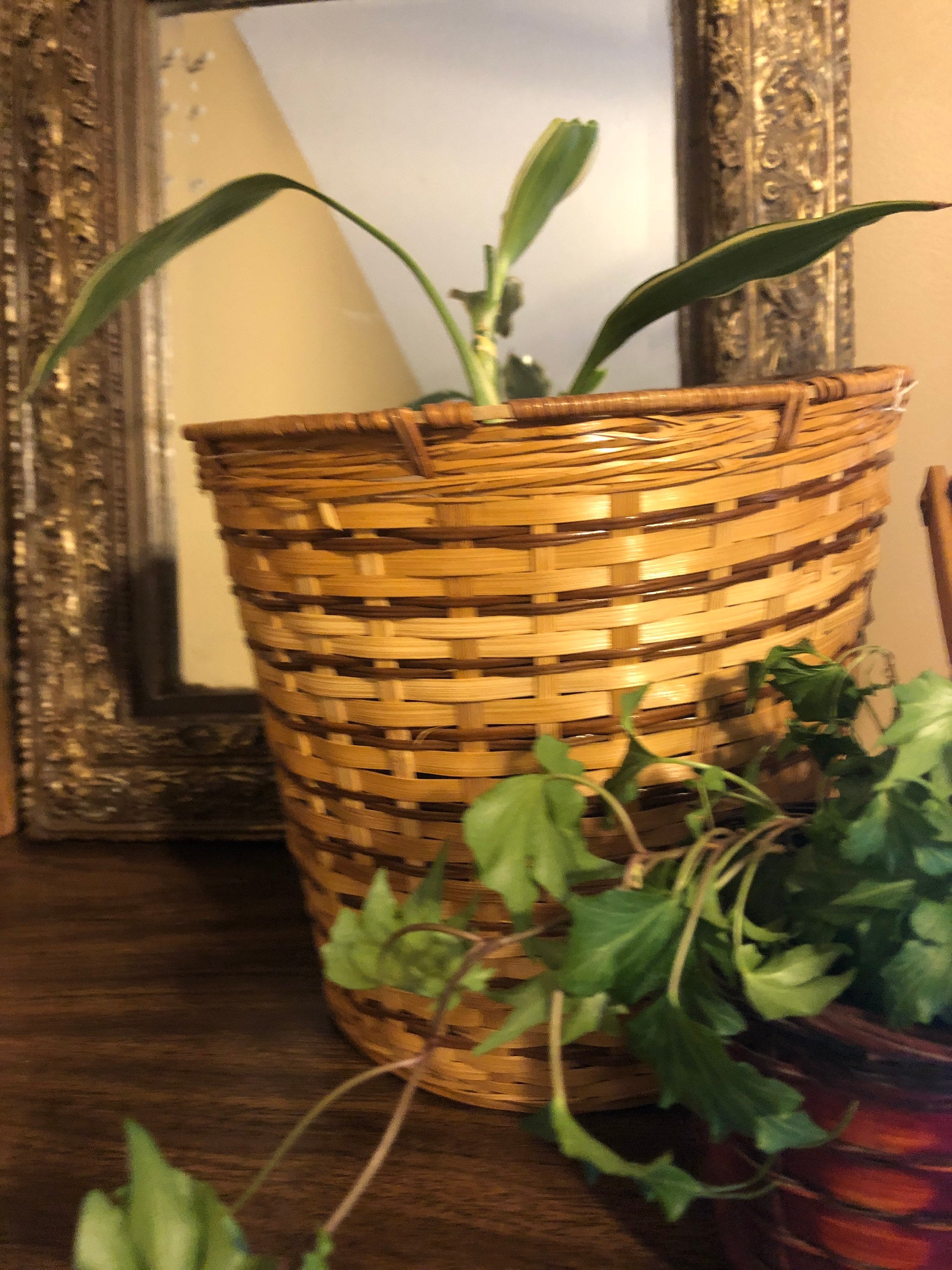 Vintage wicker plant baskets set of 3 Etsy