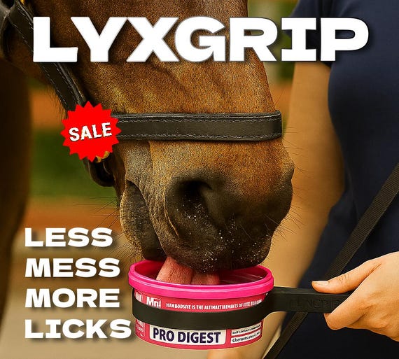 Horslyx Lyx treat Holder LyxGrip Mess-free Horse treat