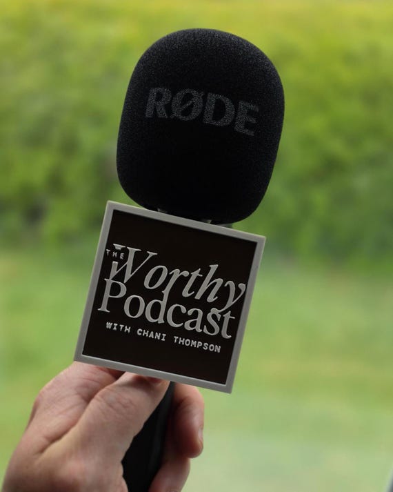 RODE Wireless Interview GO compatible Custom Microphone Cover | Personalized Logo Mount Streamer Podcaster Accessory
