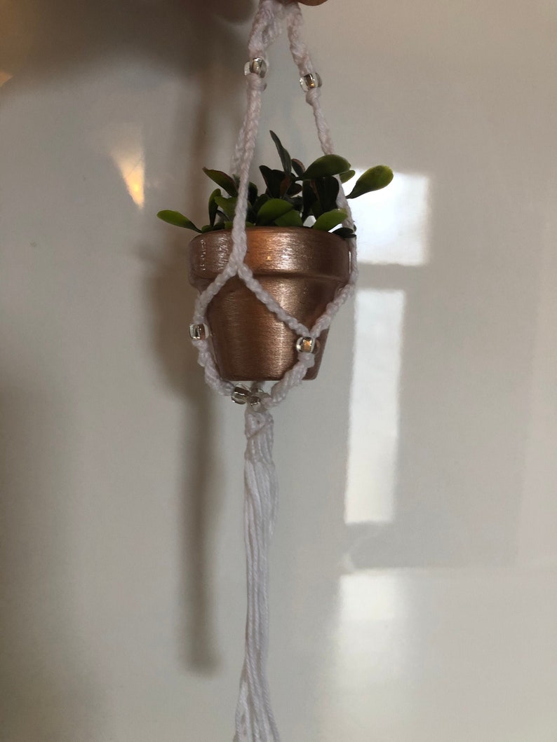 Op de afbeelding: Een kleine plant in een pot met groene bladeren die hangt in een witte macrame plantenhanger met een koperkleurige pot en witte kralen.