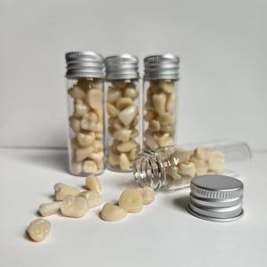 Creepy Fake Teeth Jar: Toothy Dentist Gift, Halloween Decor