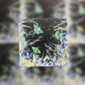 Luna Moth Sticker, Fantasy Art Sticker, Bugs Insecten Motten Artwork, Natuur Lover Sticker, Spooky Griezelige fantasie kunst Sticker, Groen en zwart