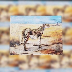 Sticker cheetah, Krugerpark, cheetah, kunststicker, cadeaumand stuffer, dieren in het wild kunst, dierensticker, dierenkunst, cadeaus voor haar, 2,3 x 3"