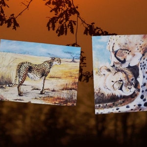 Cheetah Sticker Pack, Cheetah art, Autocollants Safari, Autocollants de la faune, Paquet d’autocollants, Art du parc Kruger, Art africain, Animal Sticker Pack