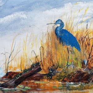 Könnte beinhalten: Ein blauer Reiher steht auf einer kleinen Insel in einem Sumpf. Der Reiher ist nach rechts gewandt und hat den Kopf gesenkt. Der Hintergrund ist ein verschwommenes Bild von hohem Gras und einem bewölkten Himmel.