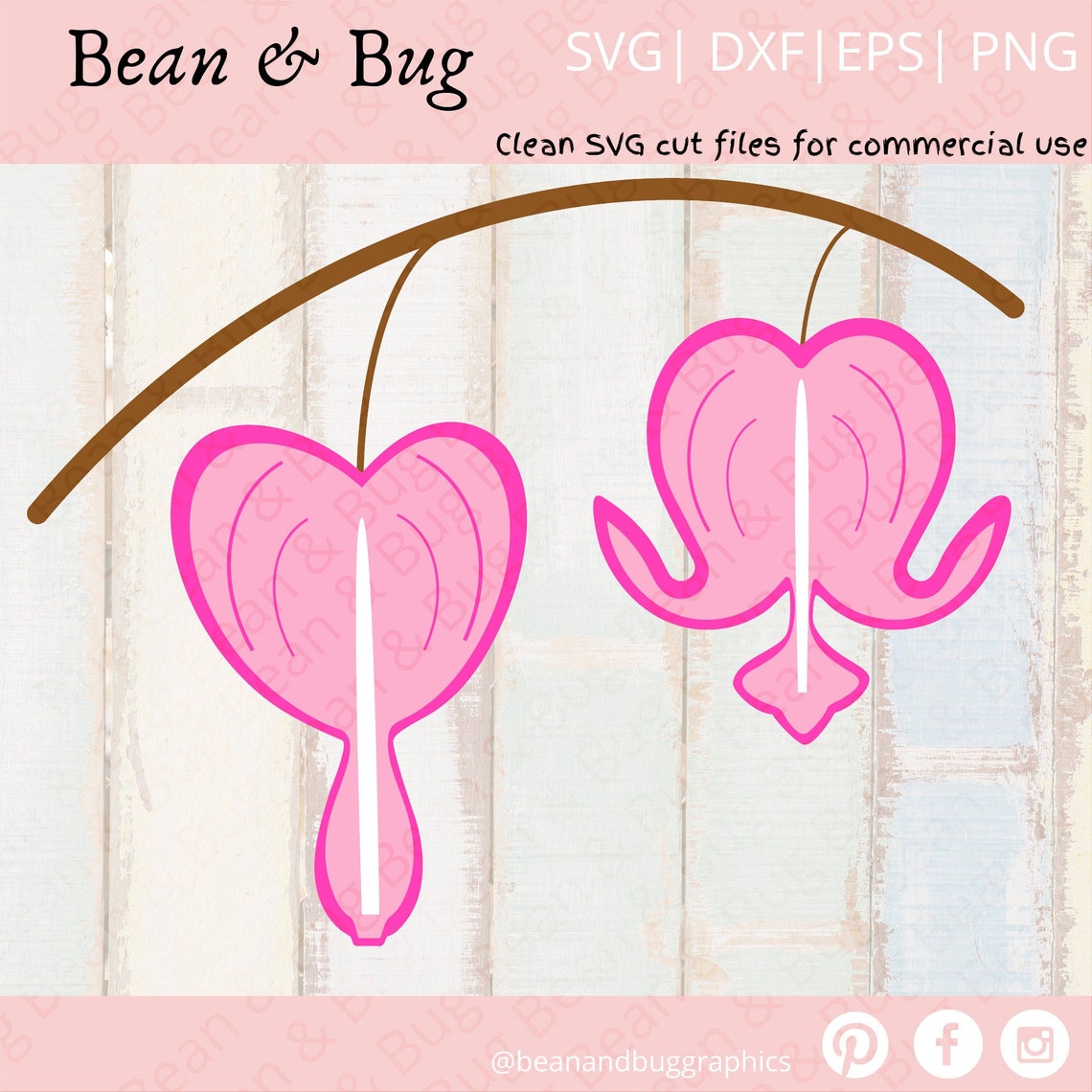 Download Bleeding Heart Flower SVG Flower Clipart Summer flowers | Etsy