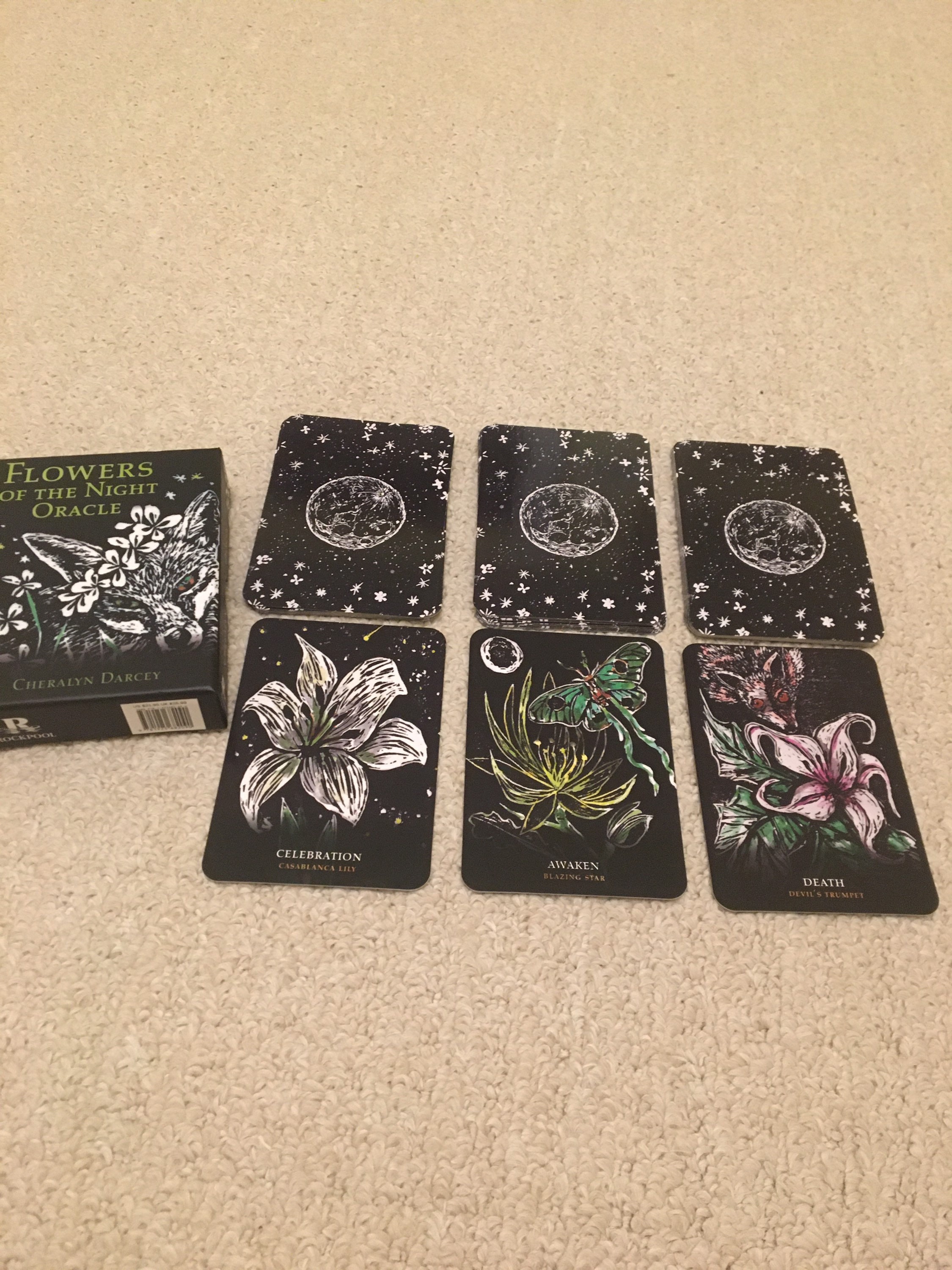 General Oracle Reading From The Flowers Of The Night Oracle Etsy