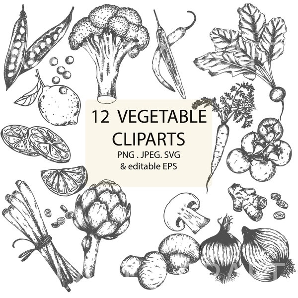 Hand Drawn Vegetable Clipart / Line Pen Drawing