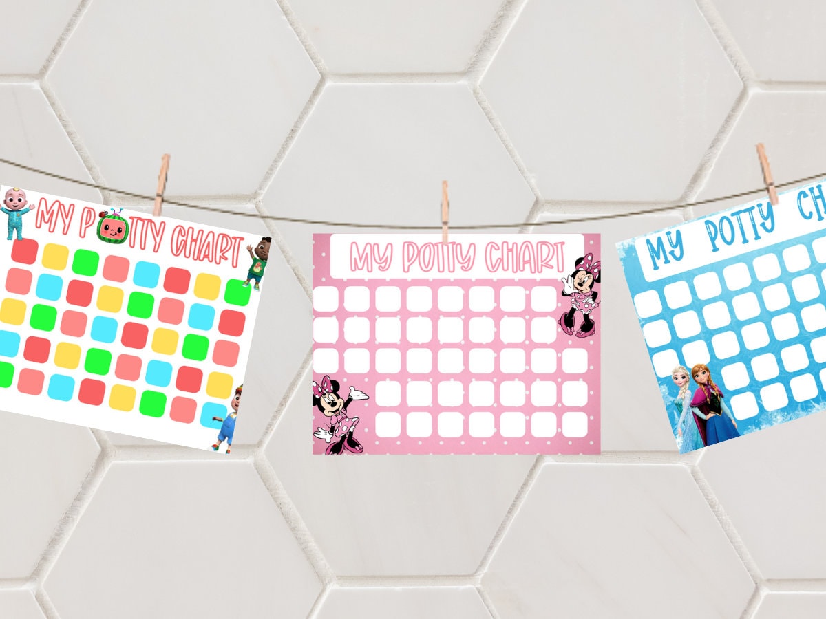 Tableau d'apprentissage de la propreté – de récompense réutilisable en 4 pièces de 28 cm | Tableau d'autocollants d'encouragement à l'apprentissage de