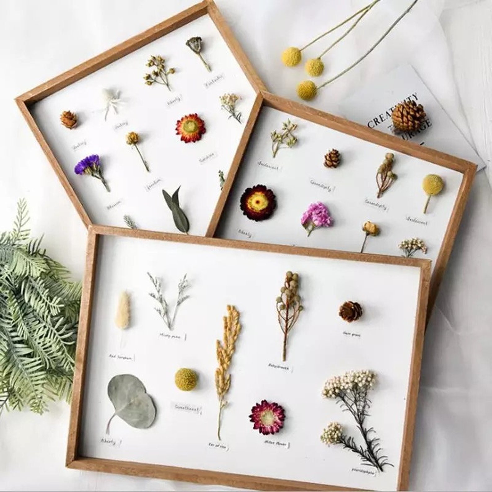 Wall Frame Dried Flower Frame Pressed Flower Frame Etsy