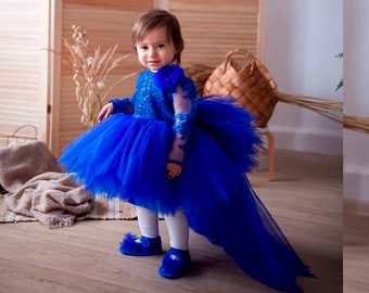 Puffy Blau Prinzessin Kleid, Blumenmädchen Tutu Kleid, 1. Geburtstag Kleid, geschwollenes Kleid für Fotoshooting