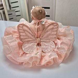 May include: A baby's pink dress with attached butterfly wings. The dress features layers of ruffled fabric and delicate floral embellishments. The butterfly wings are a matching pink with gold glitter accents. A floral headband completes the outfit.