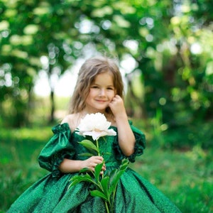 Abito da ragazza di fiori scintillante color smeraldo con maniche a sbuffo, abito verde gonfio lucido 3t, abito da bambina verde brillante per Natale immagine 5