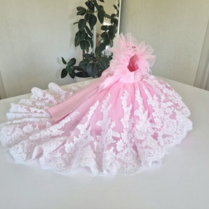 Vestido de renda para menina florista com cauda e bordado de contas de pérolas - rosa encantador com mangas de penas de avestruz