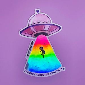 Può includere: Un adesivo olografico con un UFO rosa che rapisce un gatto nero. L'adesivo ha uno sfondo arcobaleno e il testo "Sono stato rapito adottato" con l'hashtag "#adoptDontshop" sul lato.