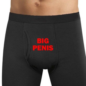 Underpants Open Front Sexy Men Underwear Big Penis Hole Mens