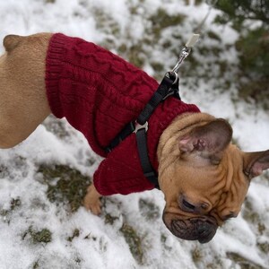 Hundepullover mit Zopfmuster und Alpakawolle – Lässiger Hundepullover – Winterbekleidung für Hunde
