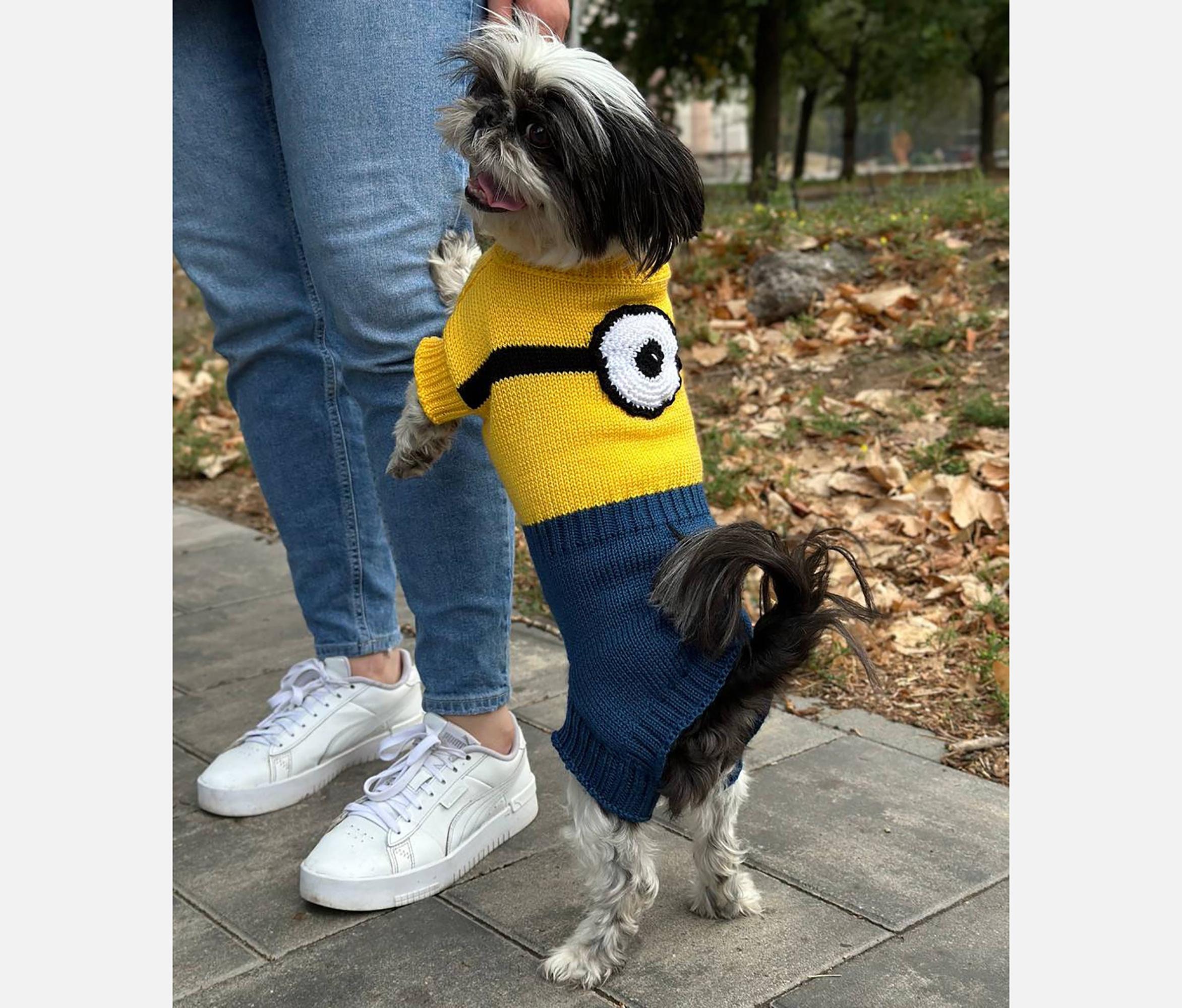 Dog in minion costume sales