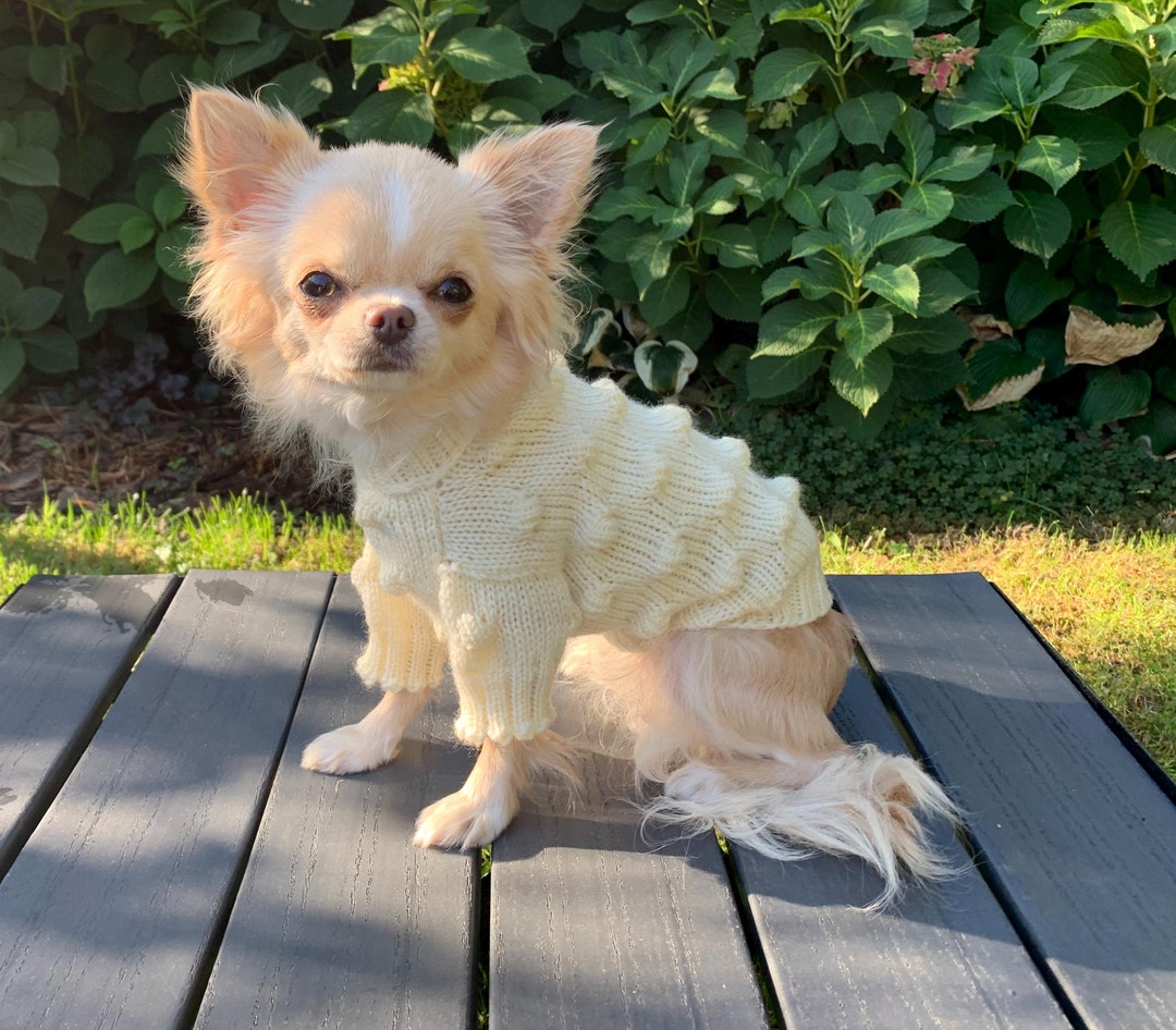 'All things Angora!'  Doggie Sweater main image 0