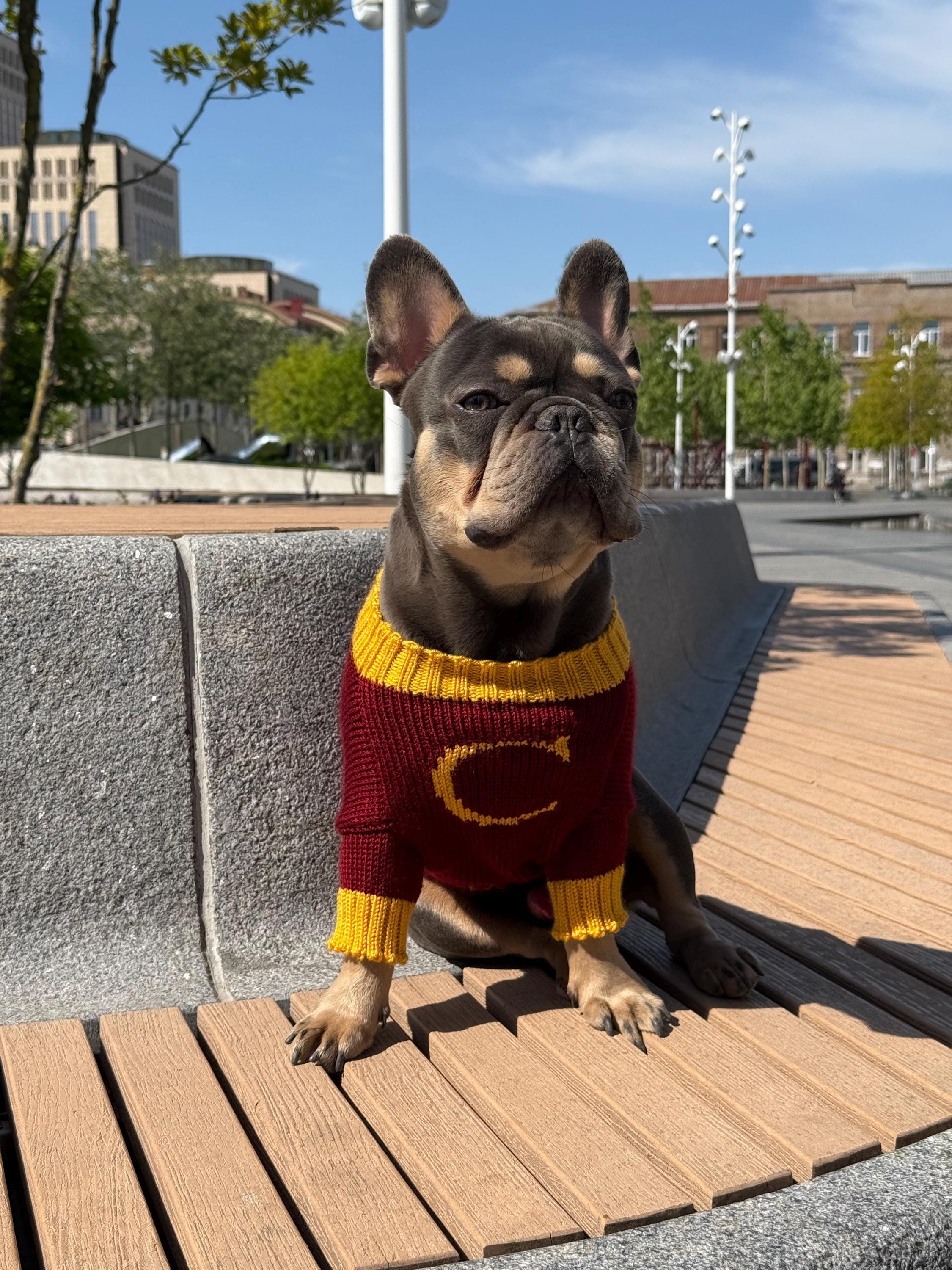 Weasley Harry Potter Dog Sweater Weasley Dog Canada