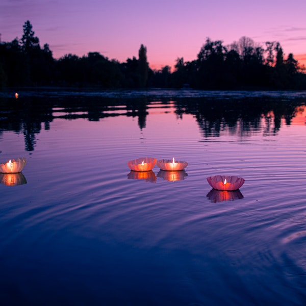 Floating water lanterns Biodegradable | Floating  candles | Box of 6 | Lanternes flottantes biodégradables | Bougies Flottantes,  Boite de 6