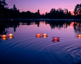 Floating candles Biodegradable – Water Lanterns for Remembrance Tribute – Box of 6