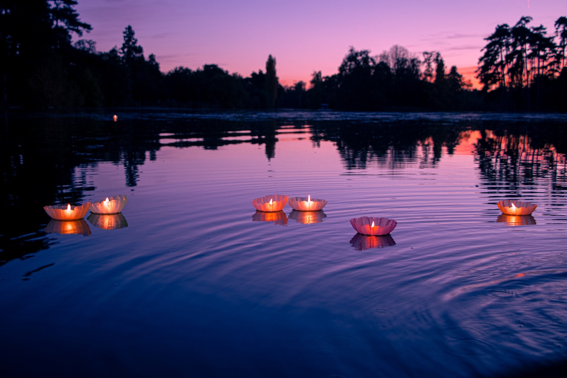 Candels Flottants/Lanternes Flottantes /Biodégradables Boîte de 6 Bougie Flottante Lanterne /Biodégr