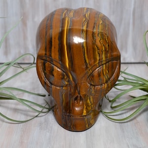 May include: A carved tiger's eye alien skull with a brown, gold, and black striped pattern. The skull is sitting on a white wooden surface.