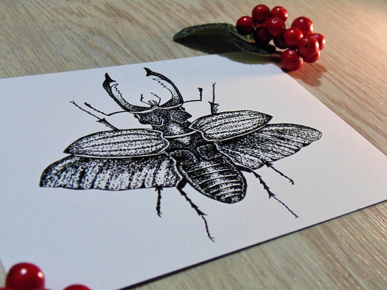 Stag Beetle Art Print