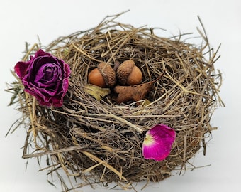 Real bird's nest Home decor for Easter Small cute nest Natural craft supply decor Terrarium garden Ornithology