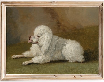 FREE SHIPPING - White Poodle Dog Resting On The Carpet - Vintage Small Pet Dog Portrait Art - Cute Dog 19th Century Painting