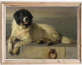 FREE SHIPPING - Newfoundland Dog Portrait Painting - Vintage Black And White Dog Art Print