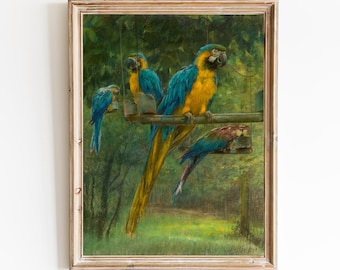 Blue Macaw Art Print – Vintage Parrot Painting, Tropical Birds
