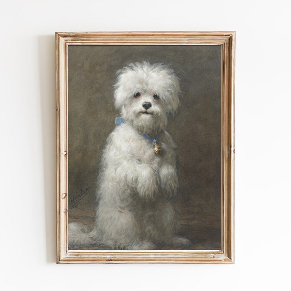 LIVRAISON GRATUITE - Maltese Terrier Dog Oil Painting - Cute Dog Standing Up Art Print - Petit chien blanc Art mural